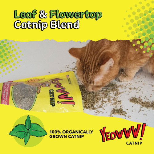 YEOWW! Catnip Mini