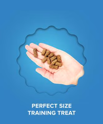 PLATO Small Bites Dog Treats Salmon – 2.5 oz.