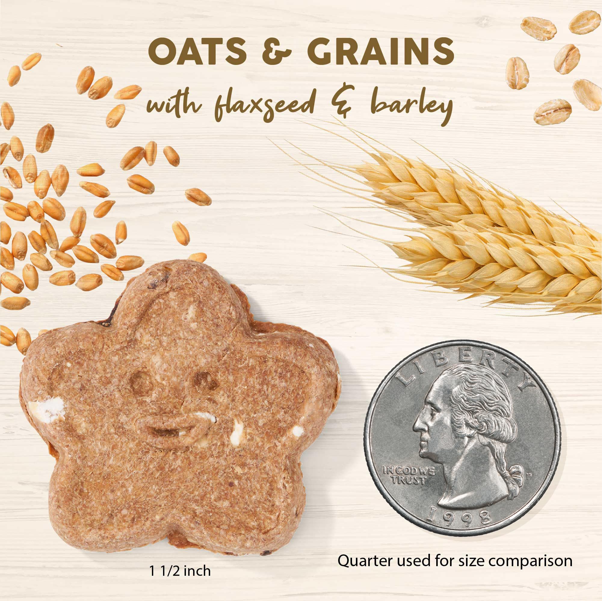 Wag More Bark Less Oats & Grains Crunchy Peanut Butter Dog Biscuits – 16 oz.