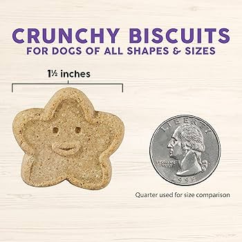 Wag More Bark Less Grain Free Assorted Flavors Dog Biscuits – 14 oz.