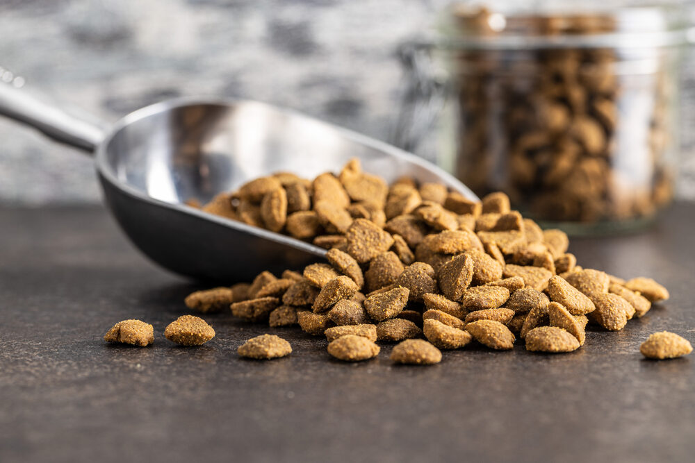 dog food scoop and food