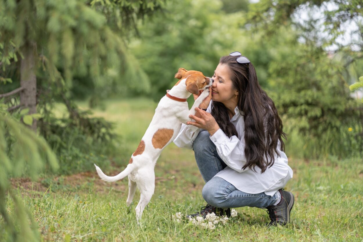 holistic choice benefits