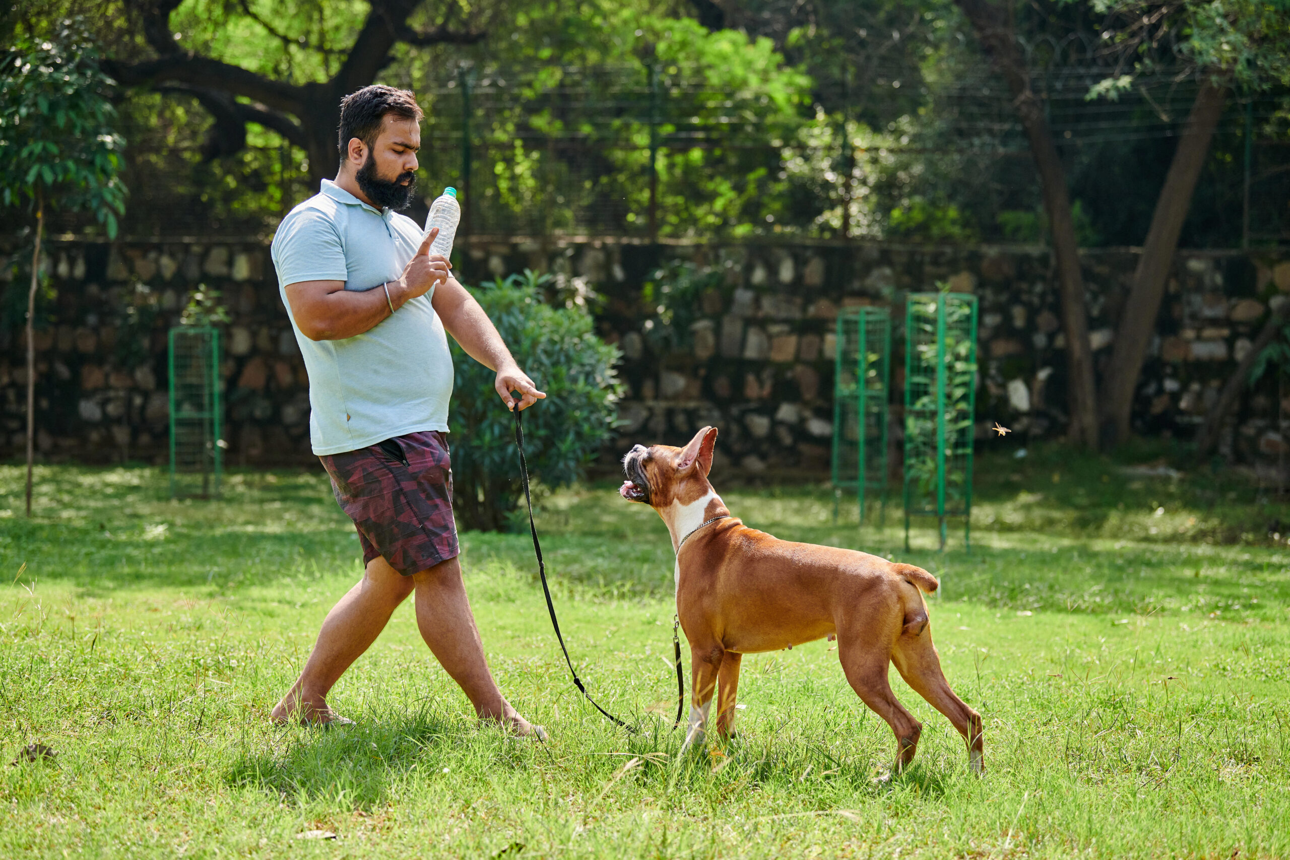 Master the Recall: 7 Simple Steps to Teach Your Dog the “Come” Command