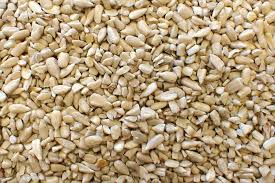 Shafer Seed Company Sunflower Kernels – 25 lb.