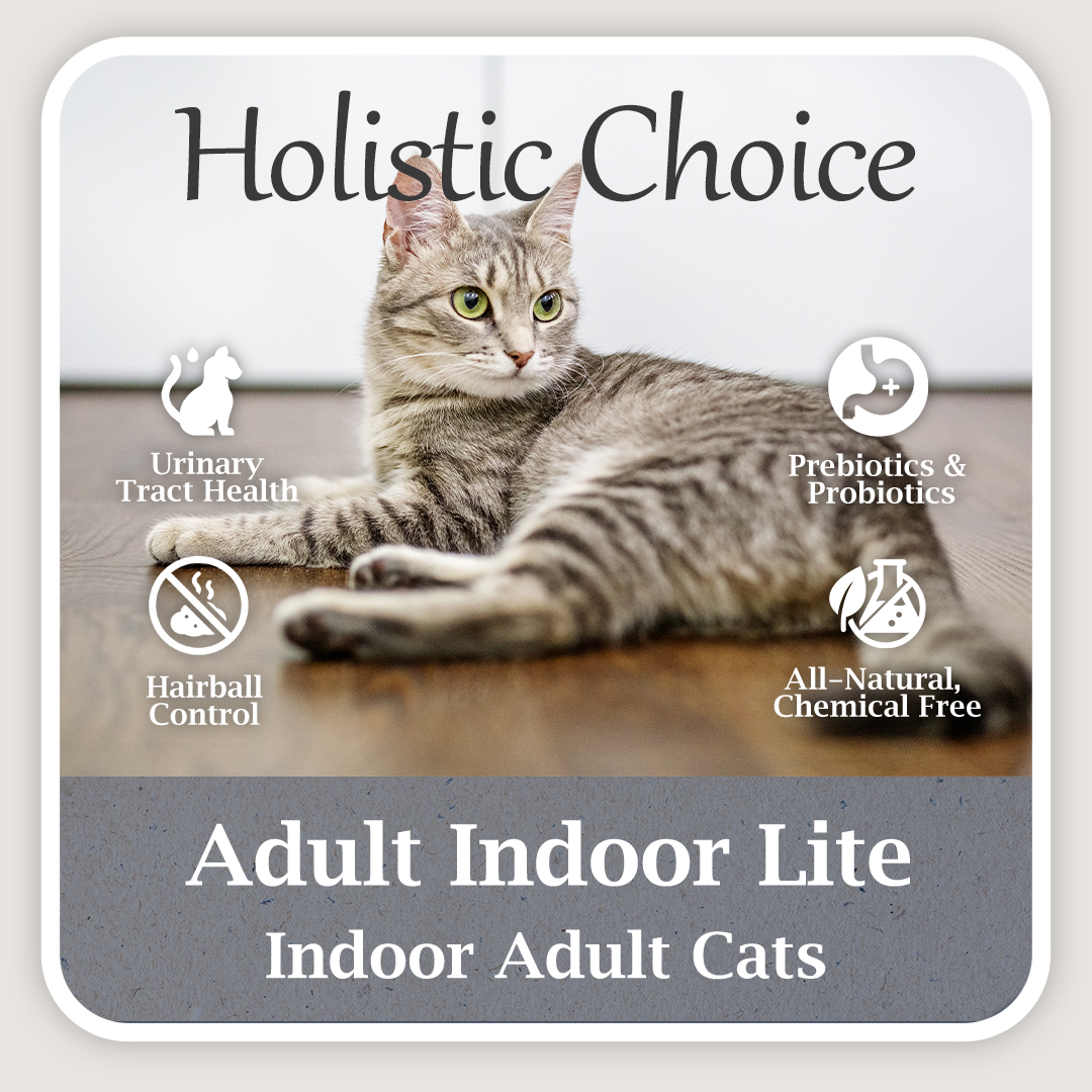 Holistic Choice Adult Indoor Lite