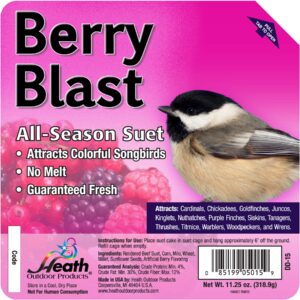 Heath Berry Blast High Energy Suet - 11 oz.
