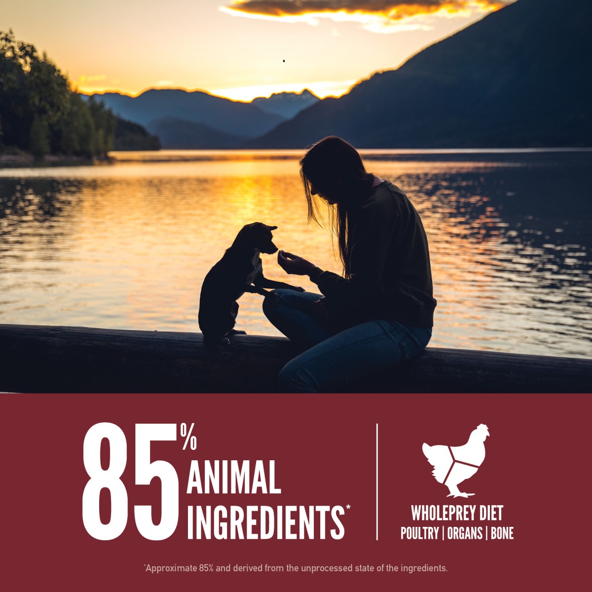 Orijen Small Breed Grain-Free Dry Dog Food