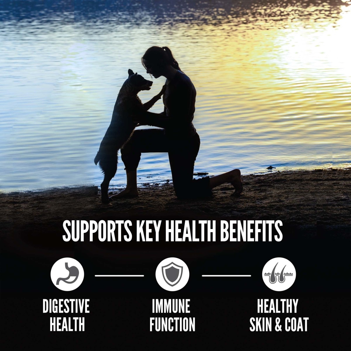 ORIJEN Amazing Grains Six Fish Recipe Dry Dog Food, 22.5-lb.