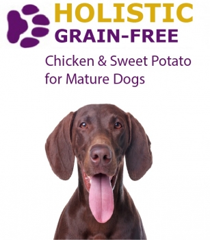 GF Mature Dog_307x350