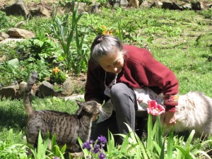 Goathouse Food Drive Donation