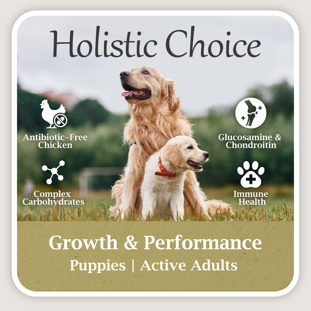 Holistic Growth & Performance