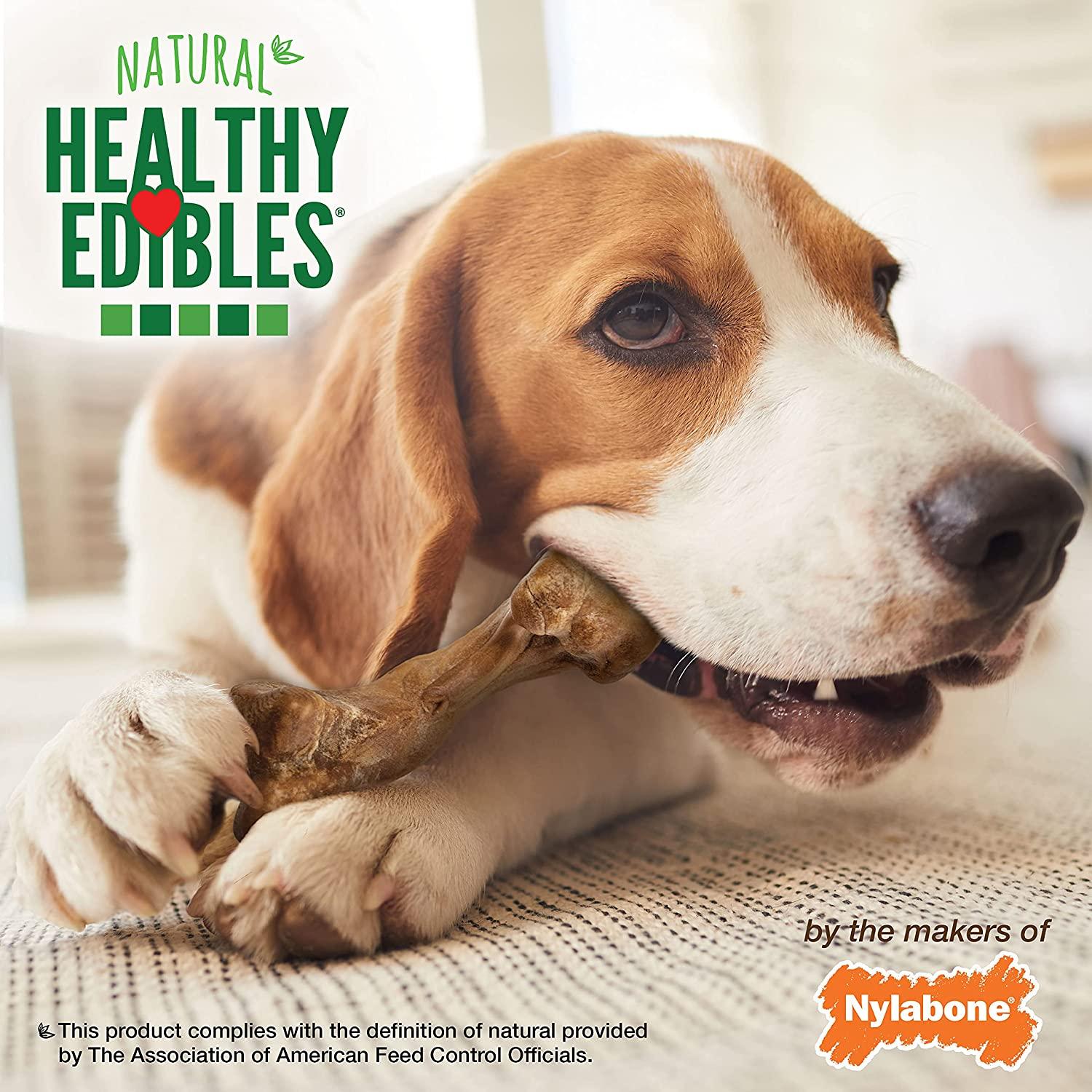 Nylabone Healthy Edibles WILD Natural VENISON Dog Chew Treat, Medium, 2-pack