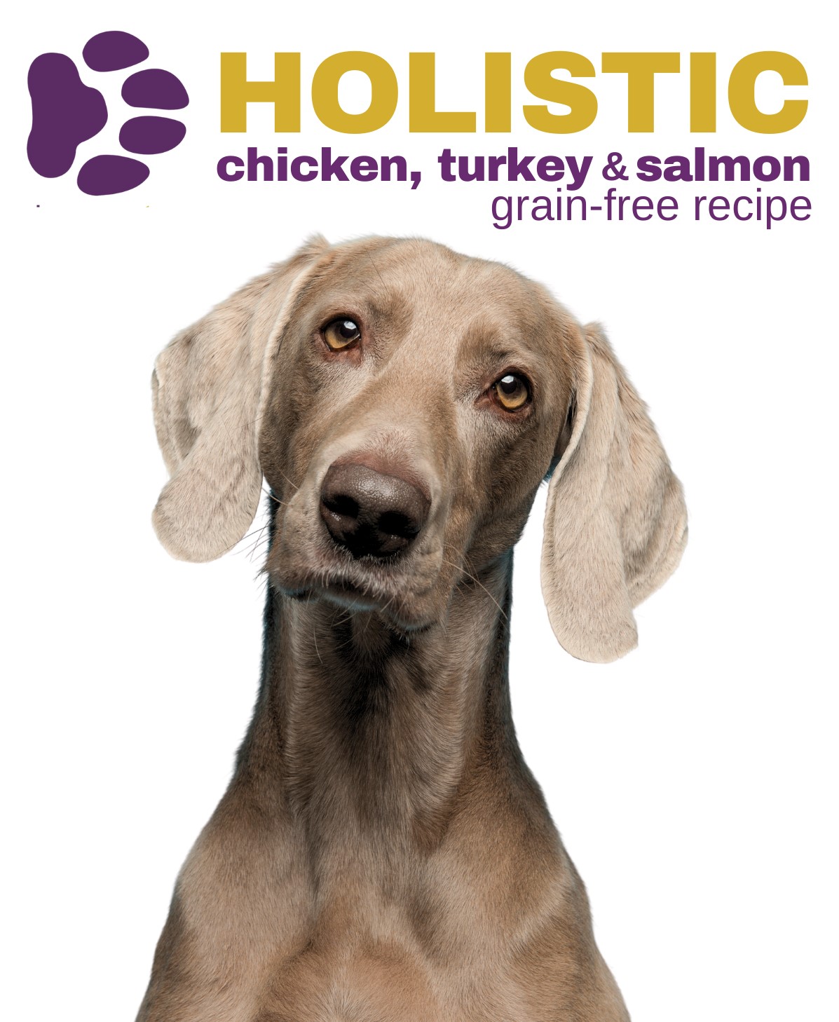 Holistic Chicken Turkey Salmon Grain Free