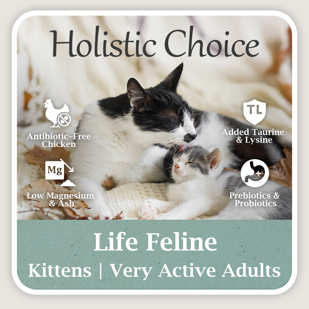 Holistic Life Feline