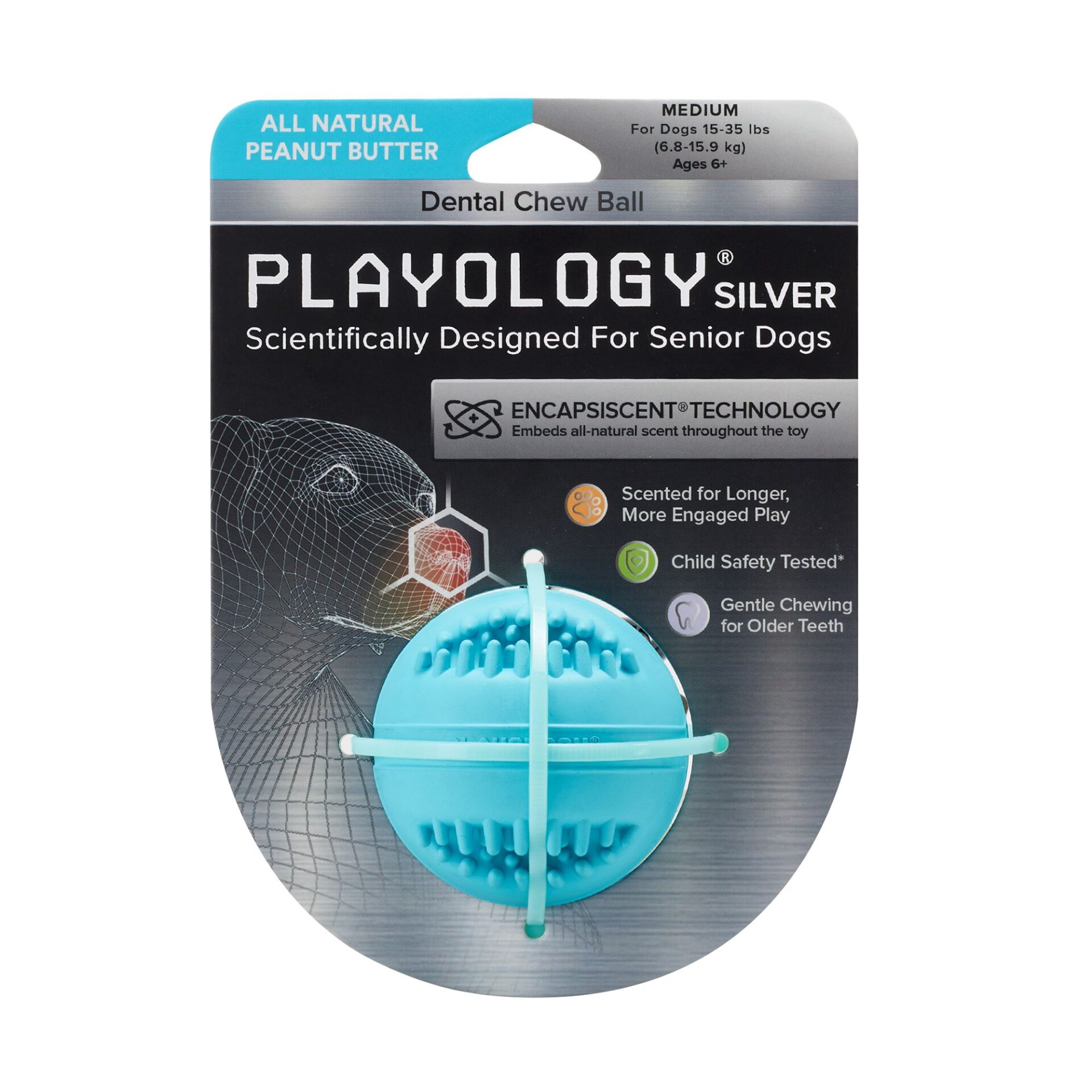Playology Silver (for Senior Dogs) Scented Dental Chew Ball