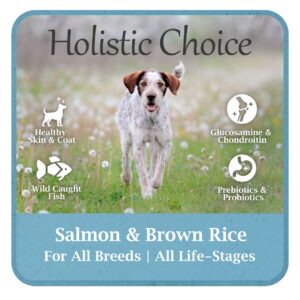 Holistic Choice Salmon & Brown Rice