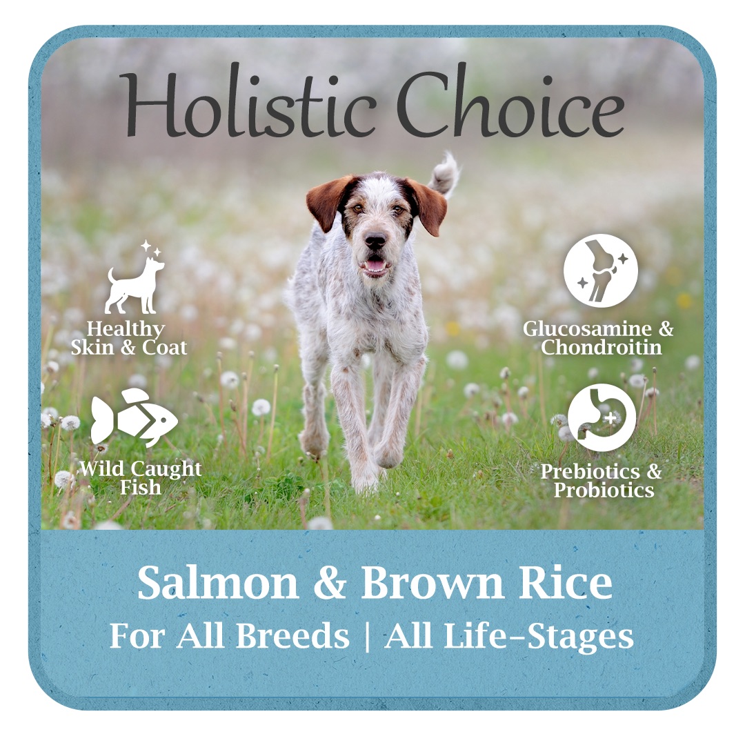 Holistic Choice Salmon & Brown Rice