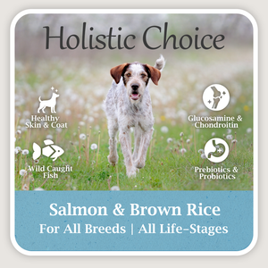 Holistic Choice Salmon
