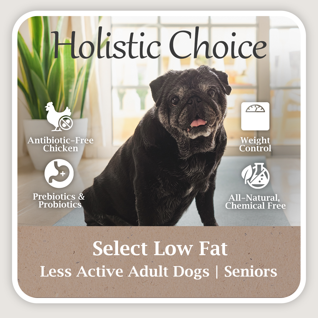 Holistic Select Low Fat