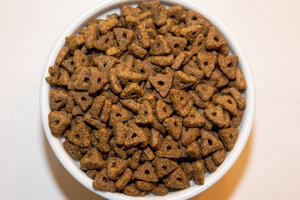 Holistic Choice Feline