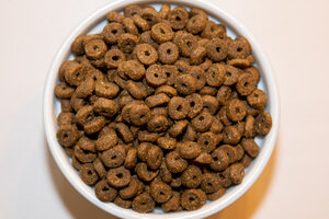 Holistic Life Feline