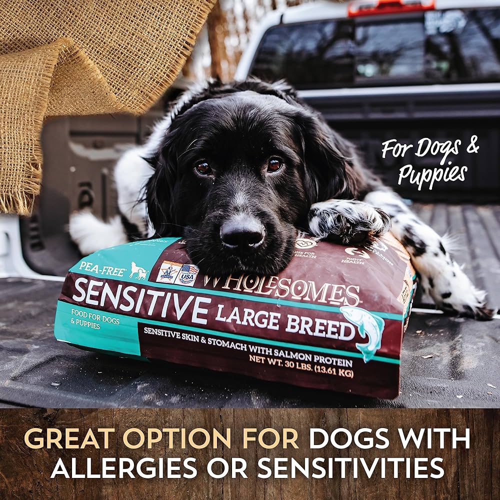 Wholesomes Sensitive Skin & Stomach Large Breed Salmon Dry Dog Food – 30 lb.