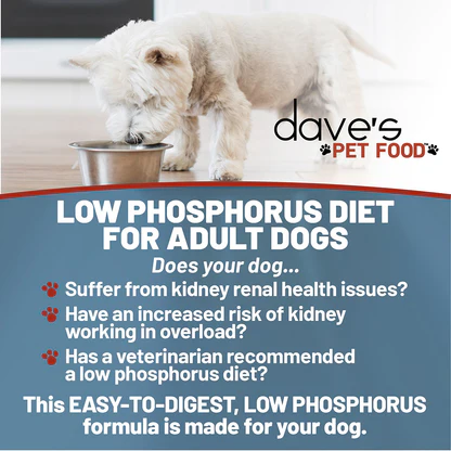 Dave’s Veterinarian Formulated – Restricted Phosphorus & Protein Kidney Support, Tuna Pate in Gravy – 13 oz. can