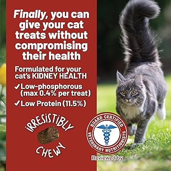 Dave’s Renal Friendly Sweet Potato Soft & Chewy Cat Treats – 3 oz.