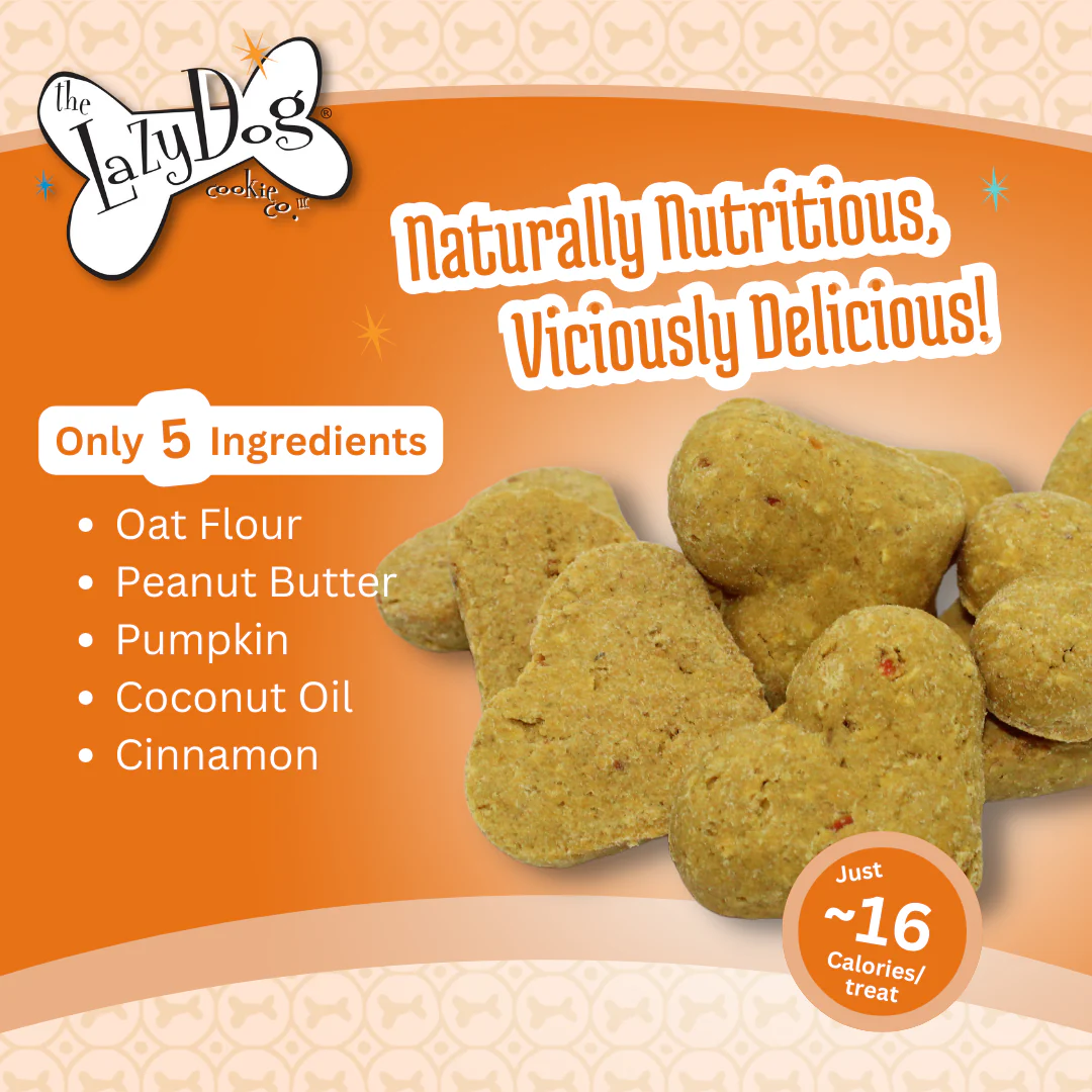 Lazy Dog Co. Limited Ingredient Ginger Glazed Pumpkin Carrot Crunchy Baked Dog Treats – 14 oz.