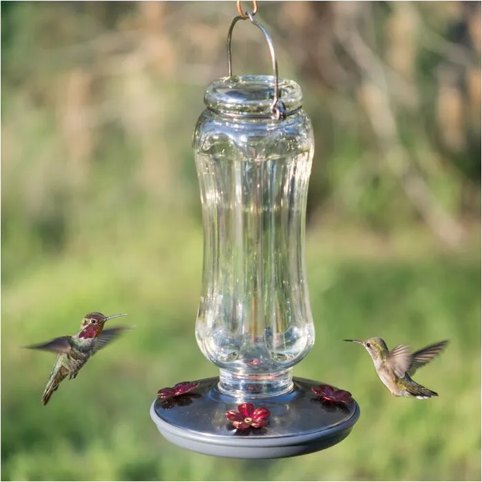 Starglow Vintage Hummingbird Feeder – 16 oz.