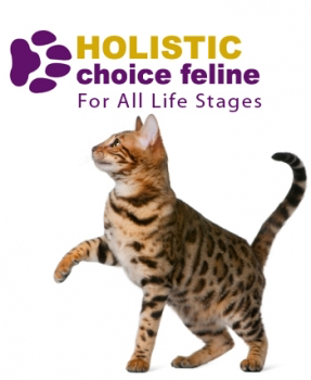 Holistic Choice Feline