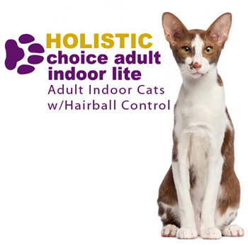 Holistic Choice Adult Indoor Lite