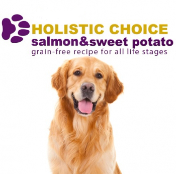Holistic Choice Salmon & Sweet Potato Grain Free