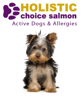 Holistic Choice Salmon