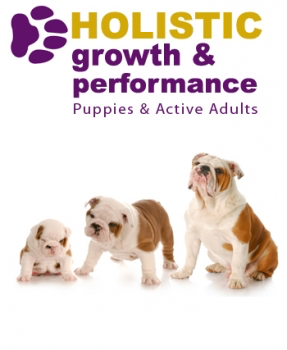 Holistic Growth & Performance