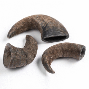 QT Dog Buffalo Hornz Dog Chew