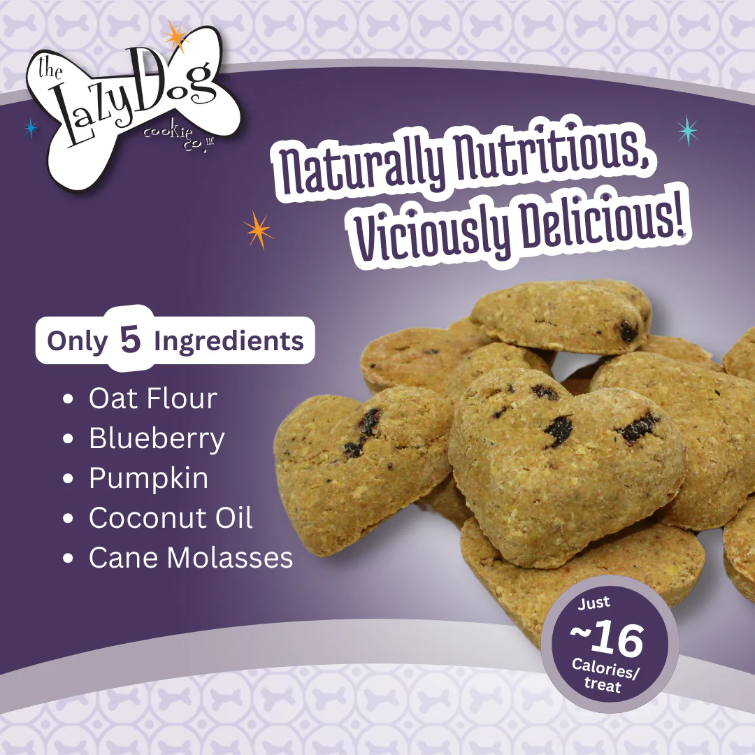 Lazy Dog Co.Limited Ingredient Molasses Crisped Blueberry Oat Crunchy Baked Dog Treats – 14 oz.
