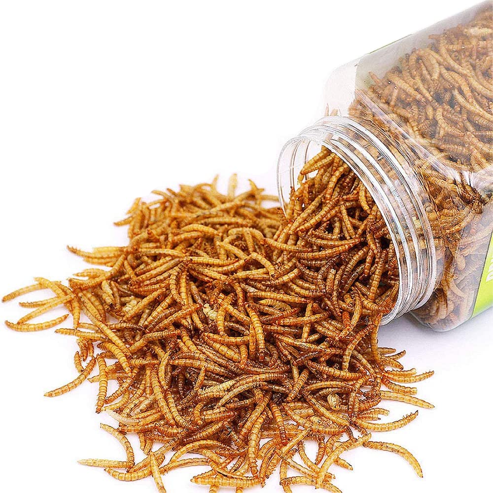Mealworm to Go Dried Mealworms High Protein – 30 oz.