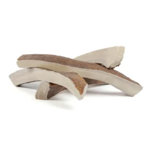 PRIMAL Split Moose Antler