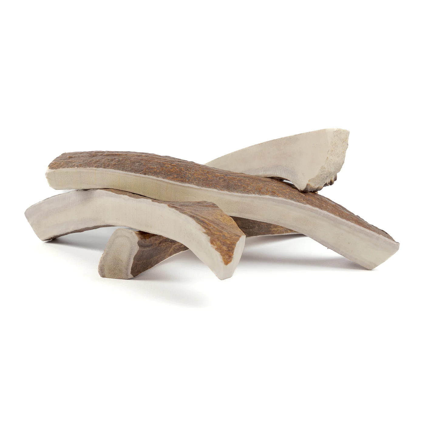 PRIMAL Split Moose Antler