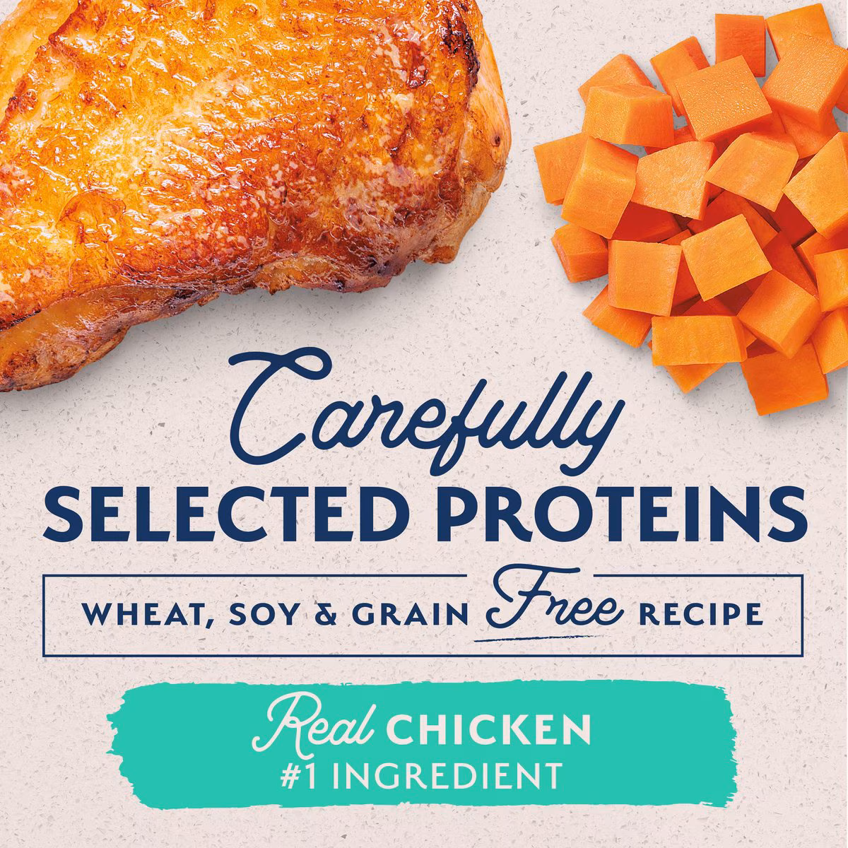 Natural Balance L.I.D. Chicken & Sweet Potato – 13 oz.