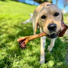 Nature’s Own Smoked Lamb Femur Bone – 9 in.