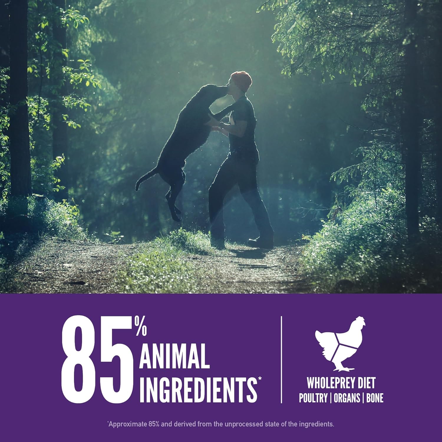 ORIJEN Large Breed Adult High-Protein & Grain-Free Poultry Dry Dog Food – 23.5 lb bag