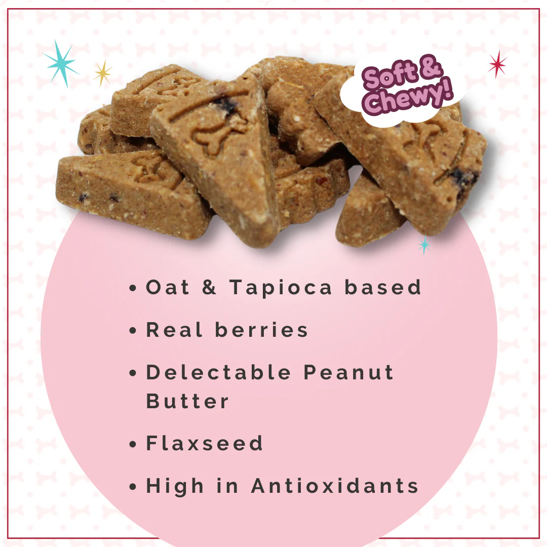 Lazy Dog Cookie Co. Pup-Pie & Ice Cream Slices Triple Berry w/ Peanut Butter Dog Treats – 5 oz.