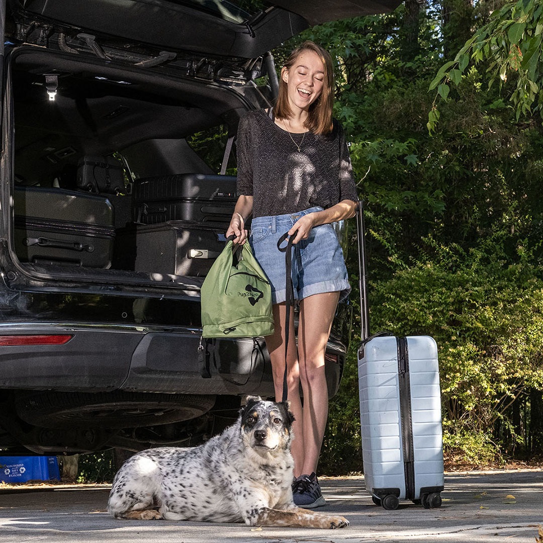Pup2Point – The Ultimate Travel Bag for your Dog