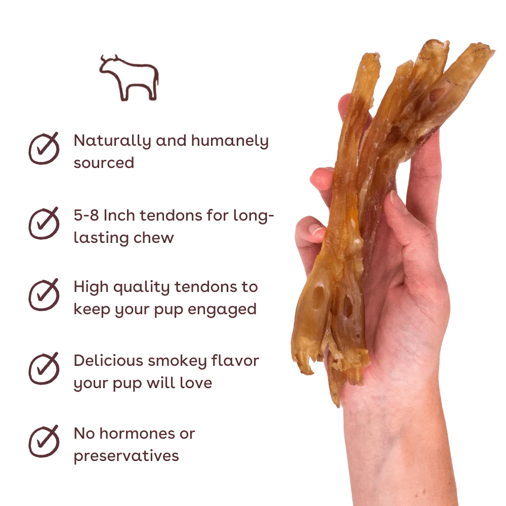 RedBarn Beef Tendon Slims – 4 oz. Bag