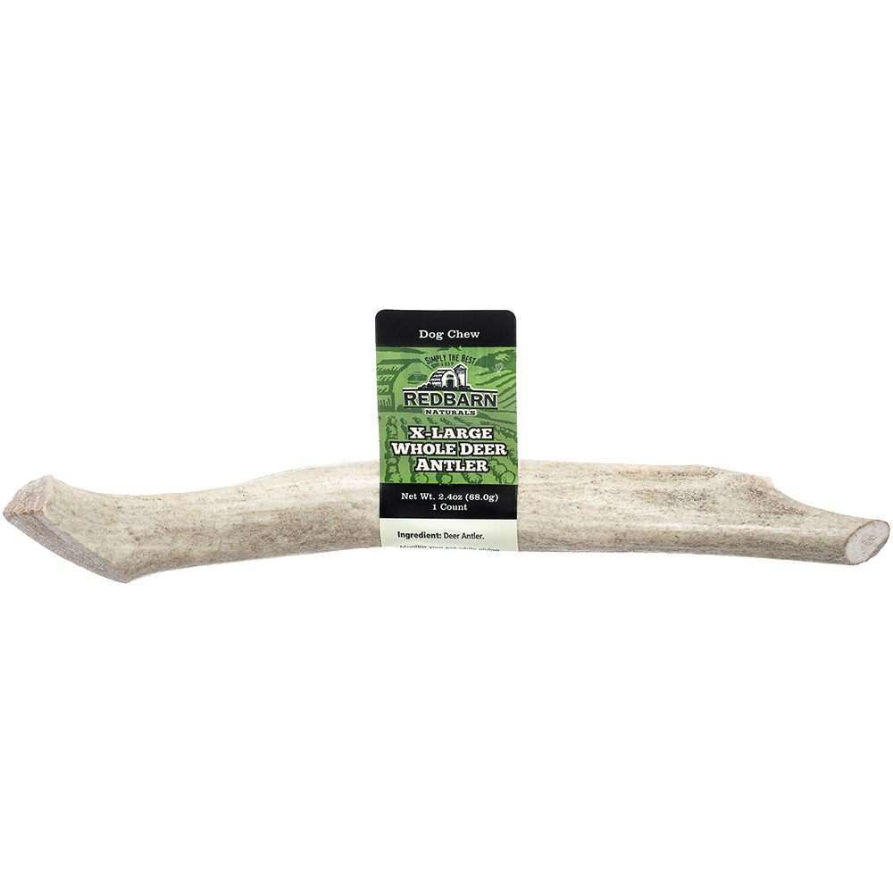 RedBarn Whole Elk/Deer Antler Chew