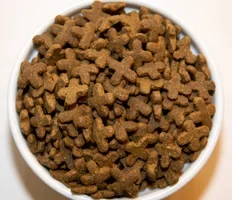 Holistic Choice Grain Free Duck & Herring Cat Food Recipe