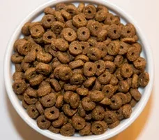 Holistic Choice Life Feline