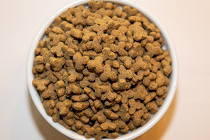 Holistic Choice Adult Indoor Lite